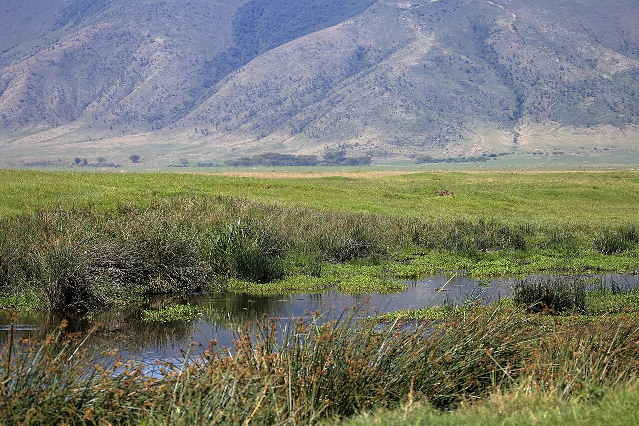 Grass and water beneath the crater slopes